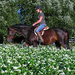 Vincent riding through the buckwheat with Olivia